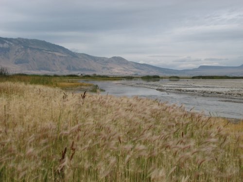 Summer Lake Vista